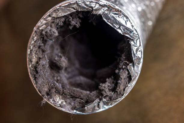 Best Affordable Air Duct Cleaning  in Proctor, MN