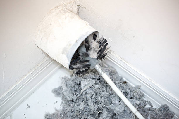 Best Air Duct Cleaning Near Me  in Proctor, MN